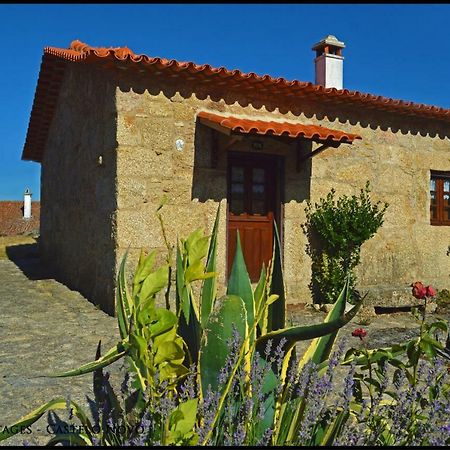 Castelo Cottages Castelo Novo ภายนอก รูปภาพ